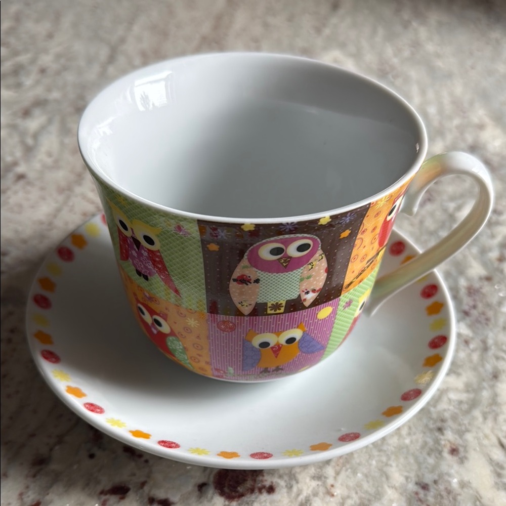 OWLS Breakfast Cup and Saucer Set